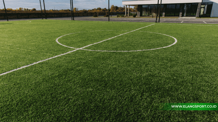 luas lapangan mini soccer 2