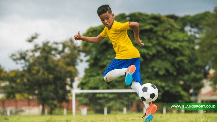 mini soccer adalah 2