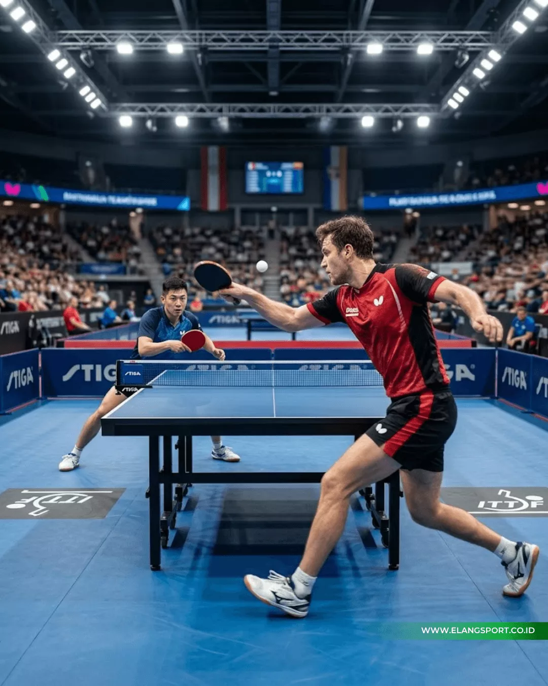 ukuran lapangan tenis meja lengkap 2