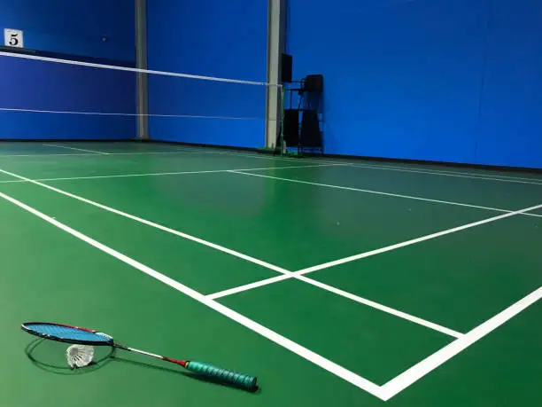 Harga Jasa Pembuatan Lapangan Badminton Standar BWF